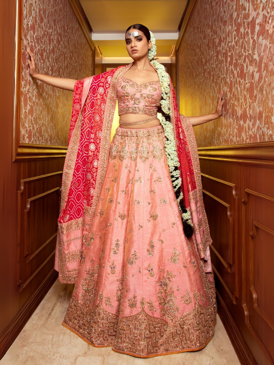 Serene  Pink lehenga set
