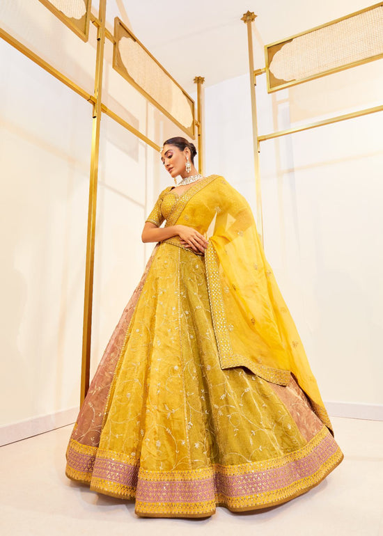 Honeyed Multicolour Tissue Lehenga Set