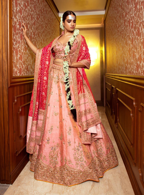 Serene  Pink lehenga set