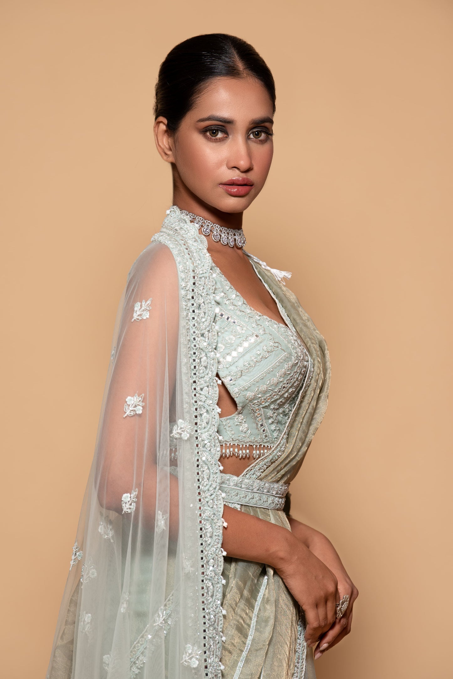 Mint Green Tissue Embroidered Saree