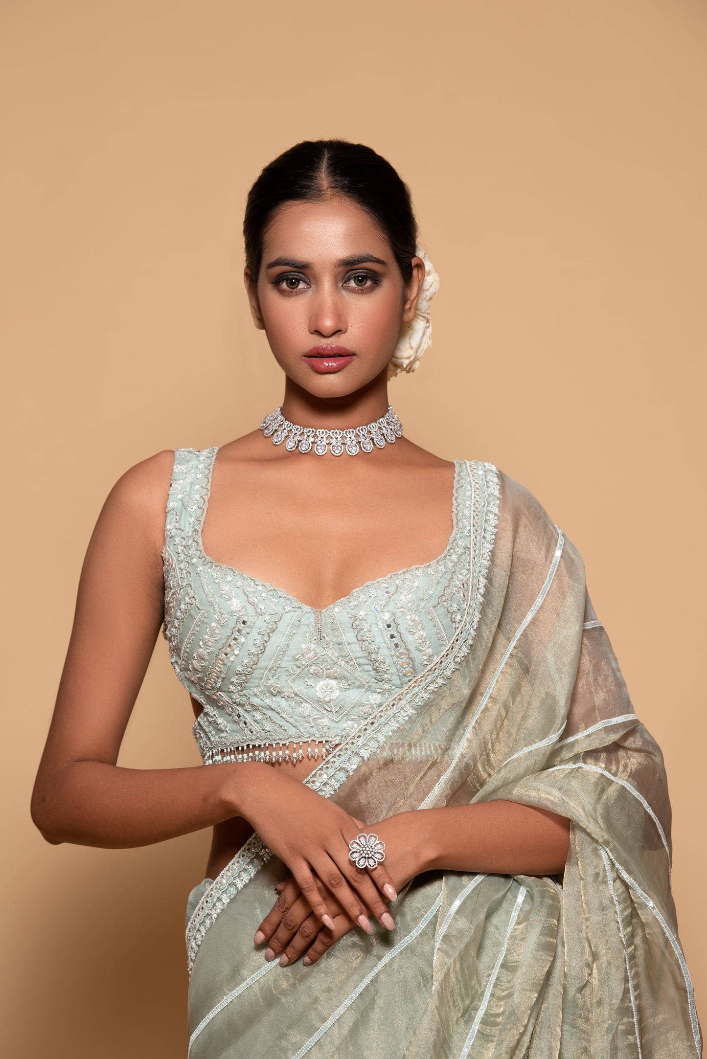 Mint Green Tissue Embroidered Saree