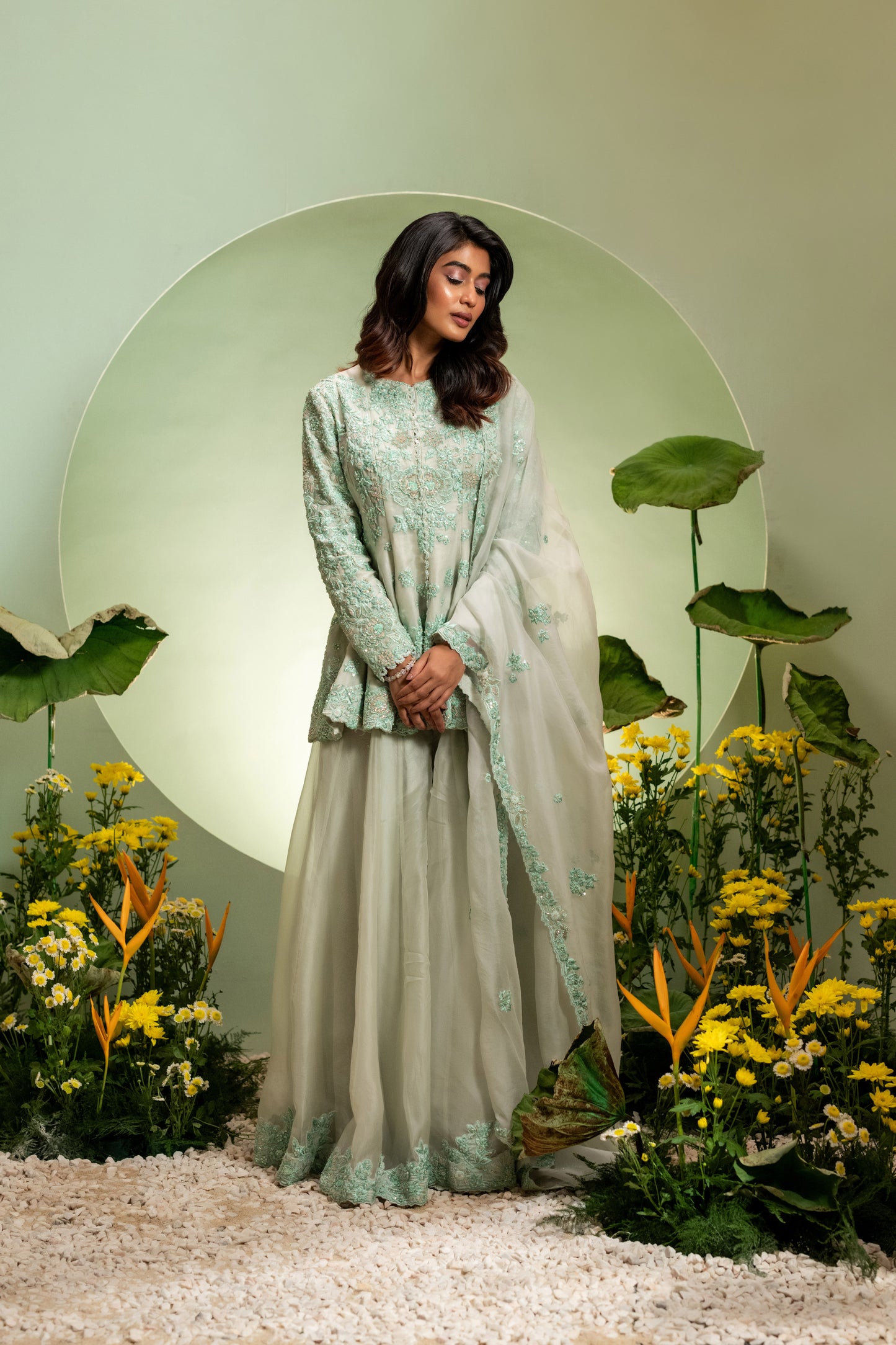 Peplum Sharara Set